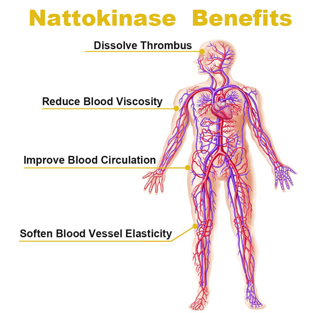 Misspep Nattokinase Supplement 4000 FU Per Serving Vessel Clean and HDL Booster, 90 Capsules