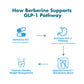 Miss Pep GLP-1 Appetite & Metabolism Support