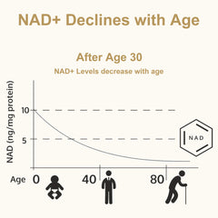 Anti-aging NMN 20000 99% High Purity Stabilized Vegan Capsules