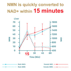Anti-aging NMN 20000 99% High Purity Stabilized Vegan Capsules