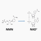 Misspep Anti-Aging NMN 9000 Capsules