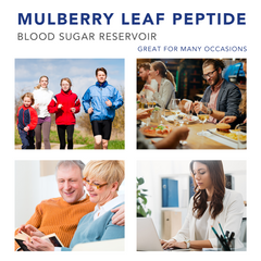 Misspep Mulberry Leaf Extract Diet Capsules