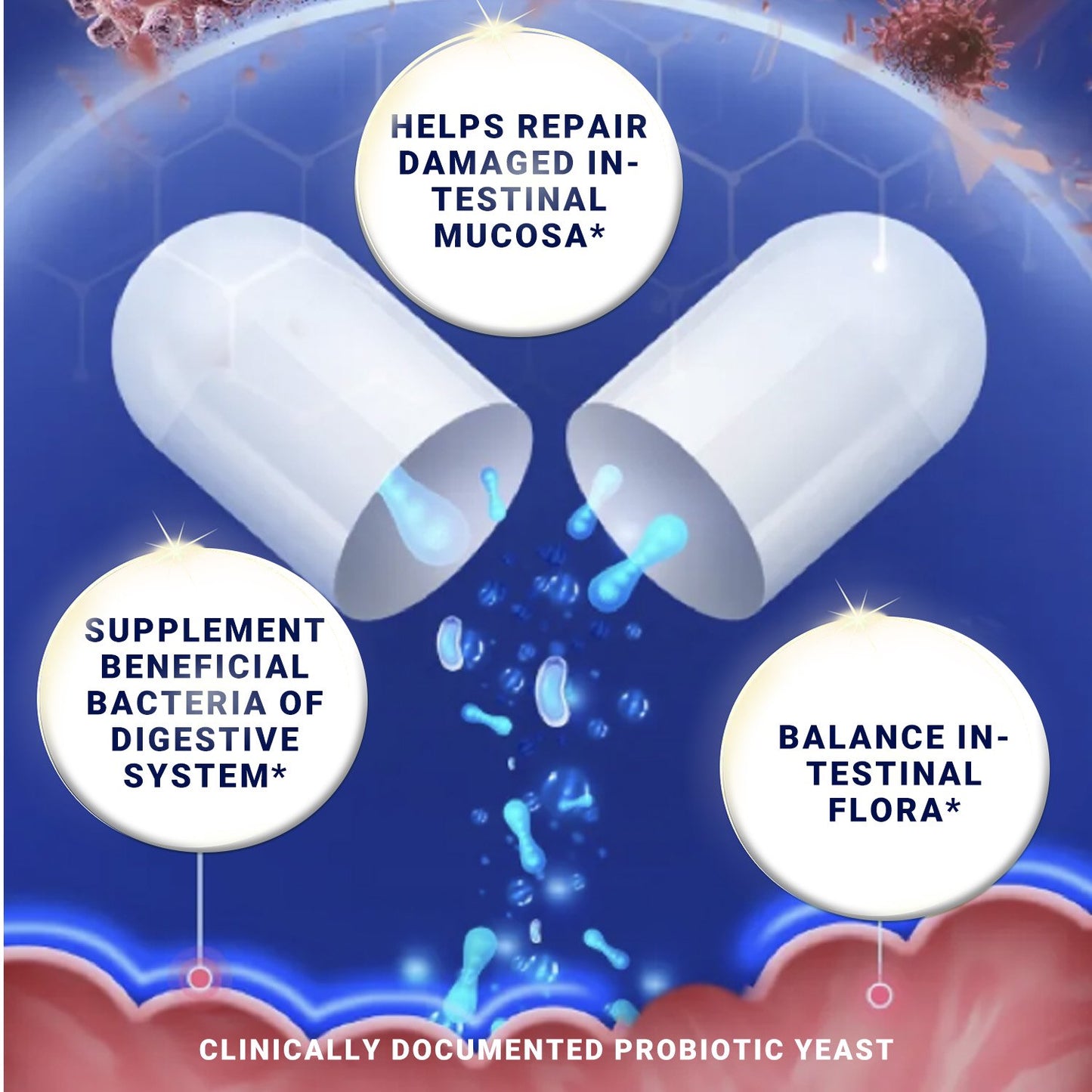 Saccharomyces Boulardii 5 Billion CFU Plus MOS Yeast Fraction- Probioticss & Prebiotic Supplement