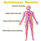 Misspep Nattokinase Supplement 4000 FU Per Serving Vessel Clean and HDL Booster, 90 Capsules
