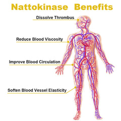 Misspep Nattokinase Supplement 4000 FU Per Serving Vessel Clean and HDL Booster, 90 Capsules
